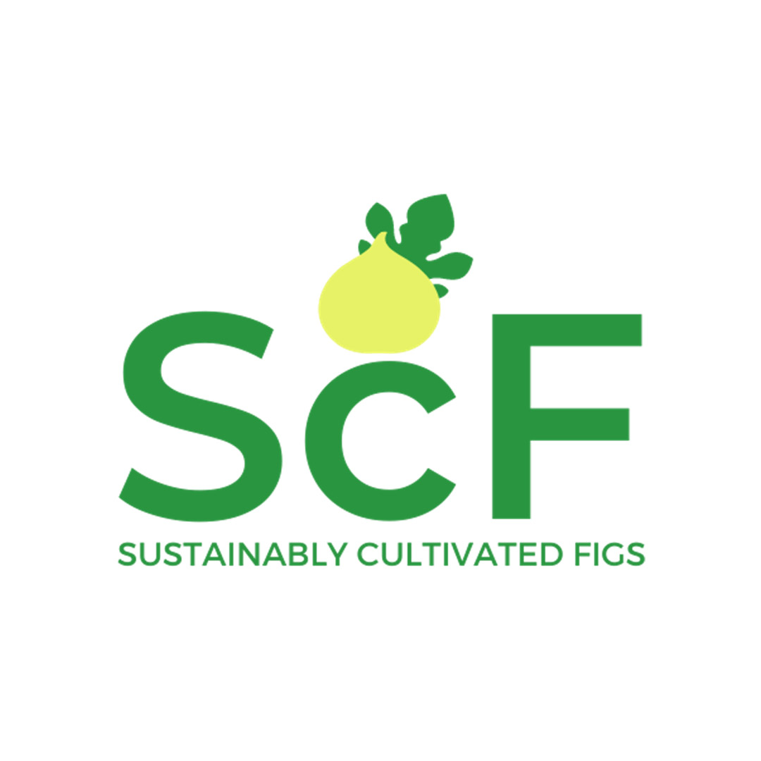ScF-osman ScF-osman