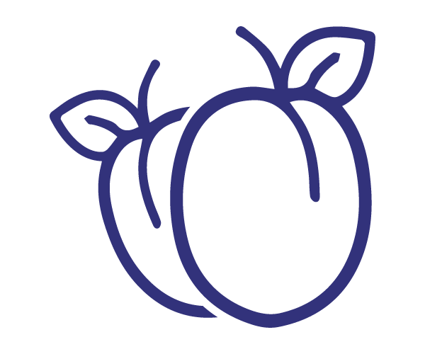 prunes-icon
